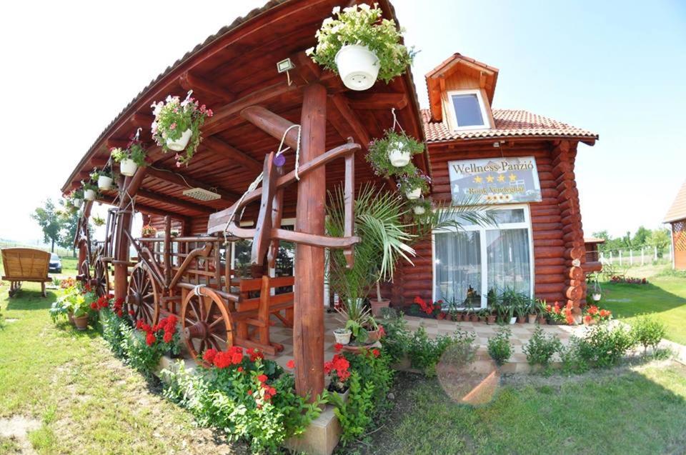 Roenk-Wellness Panzio Mezopeterd Bed & Breakfast Exterior foto