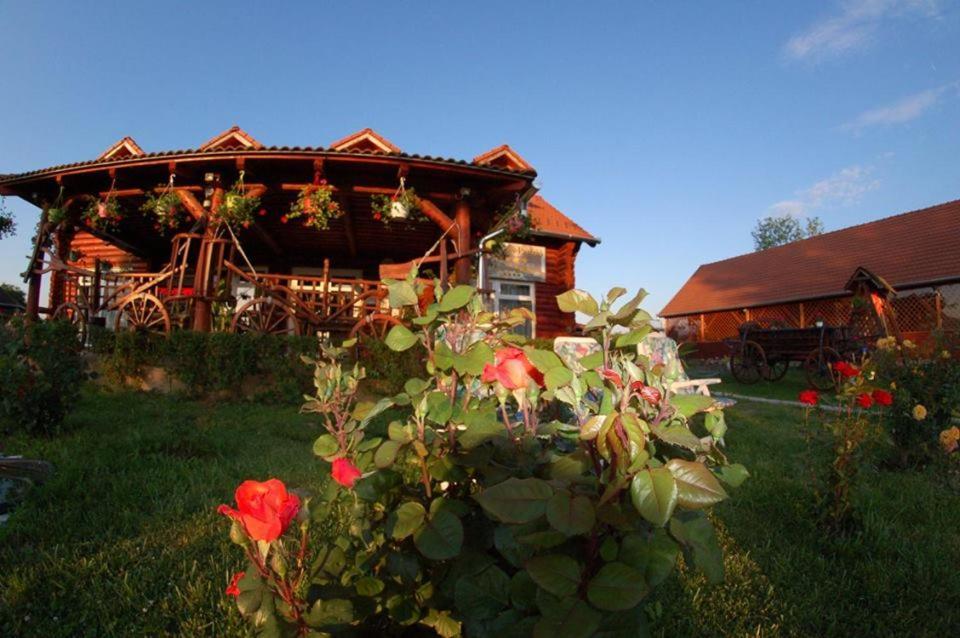 Roenk-Wellness Panzio Mezopeterd Bed & Breakfast Exterior foto